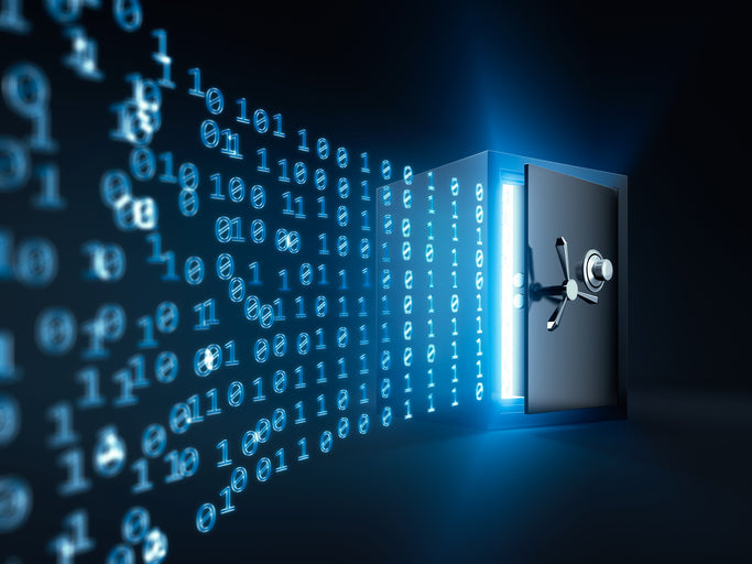 Custody & Asset Protection