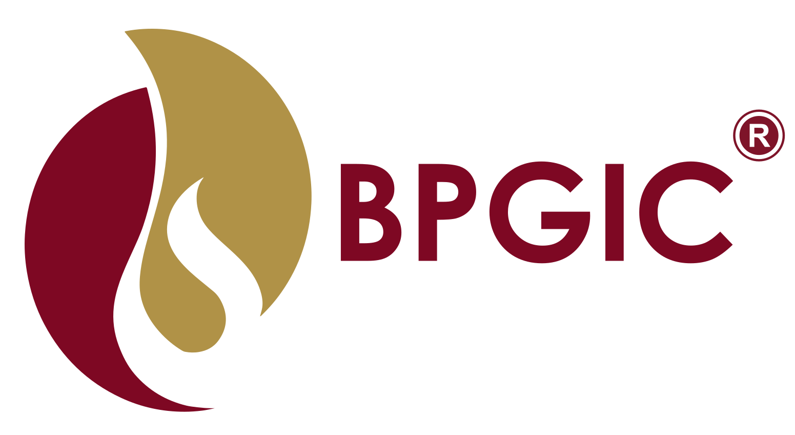 BPGIC